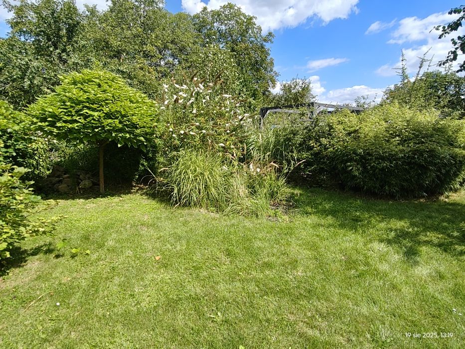 Działka ROD- Sprzedam prawo do użytkowania