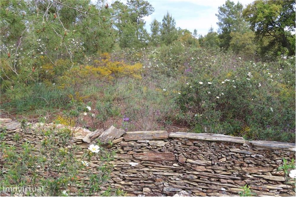 Quinta T0 para venda — Salgueiro do Campo, Castelo Branco