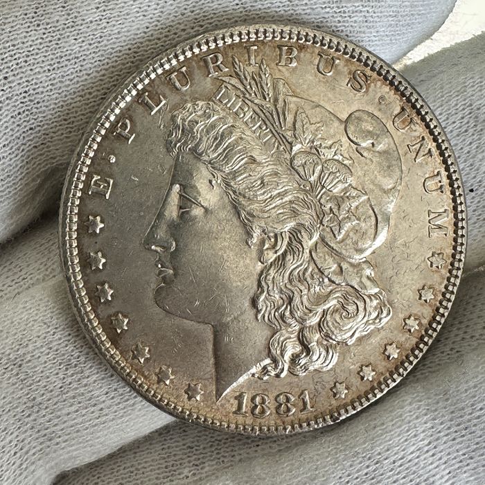 one Dollar 1881r
