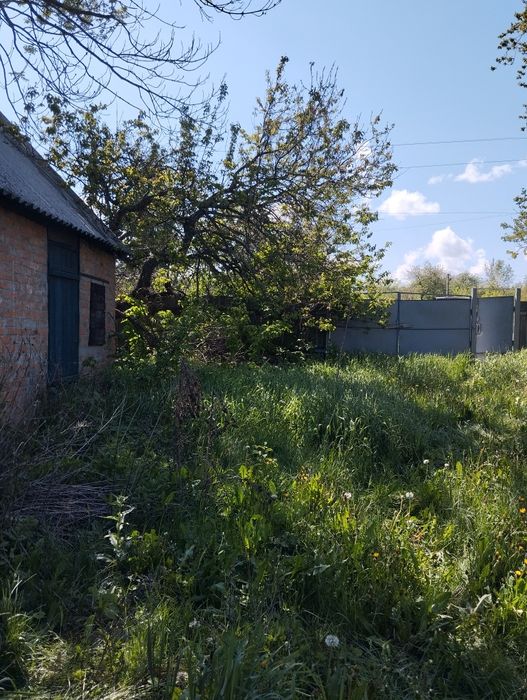 Продам дом в Нововодолажском районе рядом с Водолагой