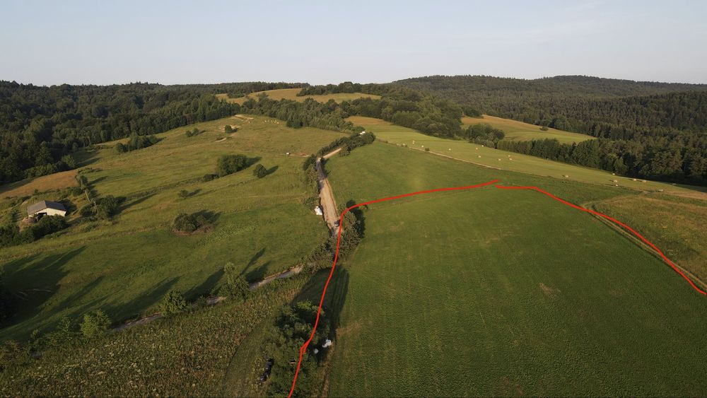 Działka/Pole rolne 3 ha - View 3