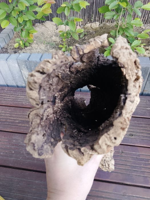 Kora / korek naturalny do terrarium, akwarium lub dekoracji