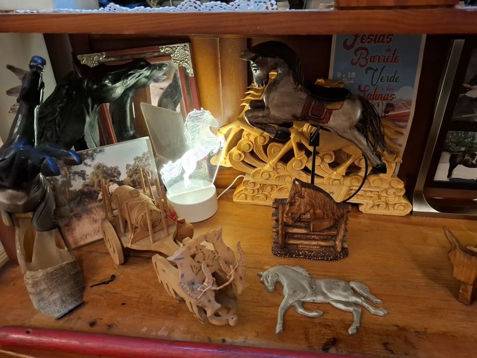 Coleção de Cavalos em varios materiais