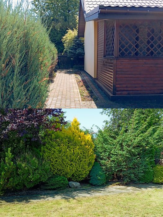 Działka ROD przy ul. Depowej