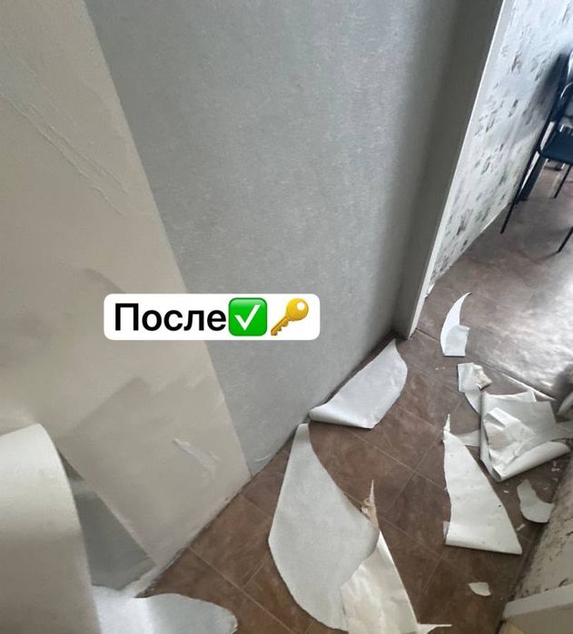 Удаление грибка Удаление поесени , удаление запаха , озон ,дезинфекция