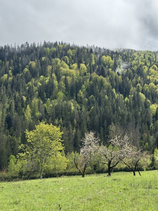 Ділянка в Карпатах, Микуличин земля біля потічка, біля заповідника ,