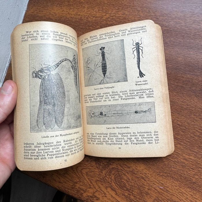 Kalendarz kieszonkowy dla miłośników akwarystyki 1922 rok