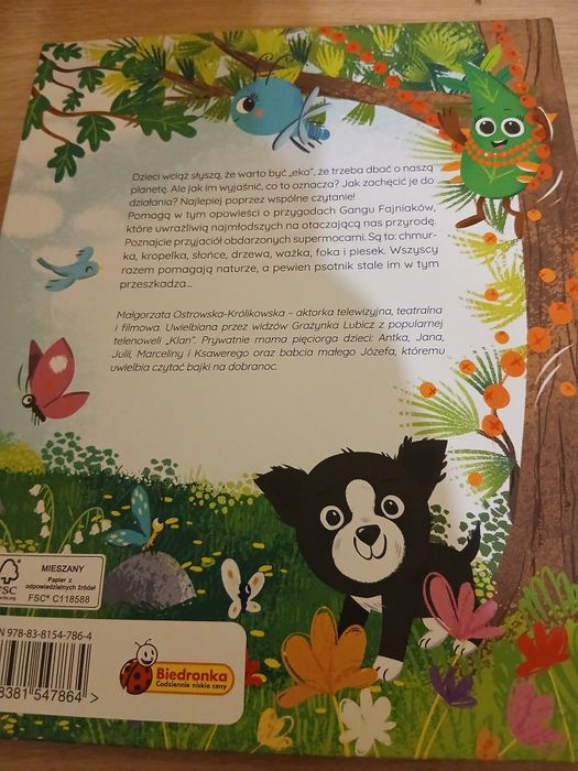 Książka Gang Fajniaków i miasto marzeń