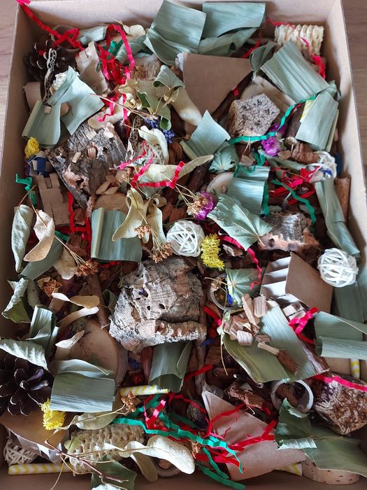 Pudełko/ kuweta do żerowania dla papug