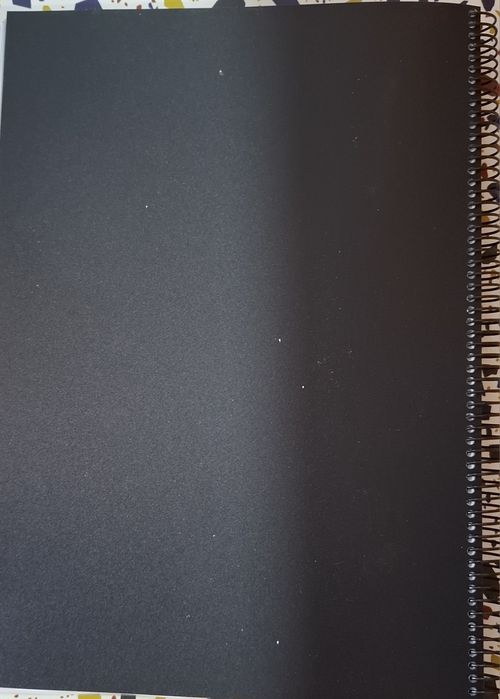 Criminologia o homem delinquente e a sociedade criminógena ENCADERNADO