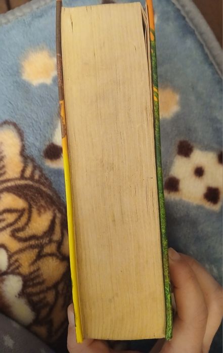 Гаррі Поттер і келих вогню