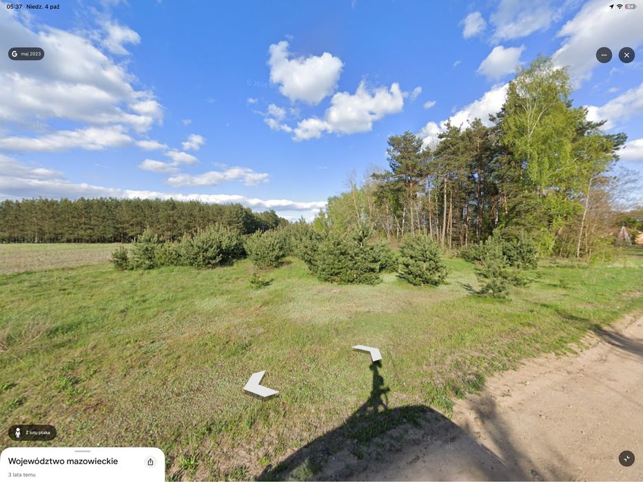 Działka 3000 m² Natolin | WZ w toku | las 1334 m² | prąd 15 kW - Widok 4