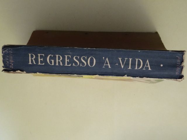 Regresso à Vida de Armando Paschoa