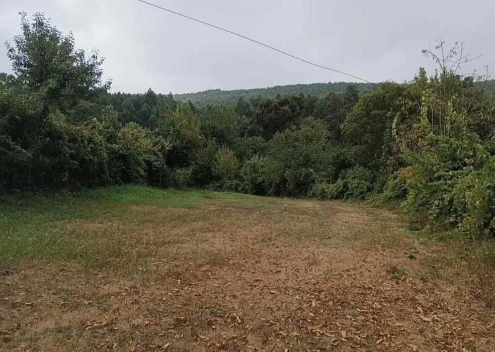 Terreno em Alvarenga-Arouca