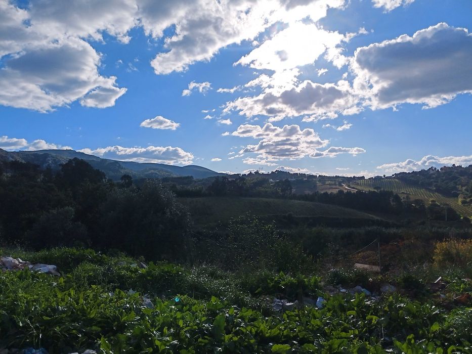 Terreno com pequena casa de arrumos