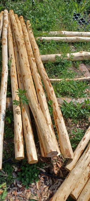 Sprzedam żerdzie okorowane, idealne do pastucha lub pod siatkę leśna