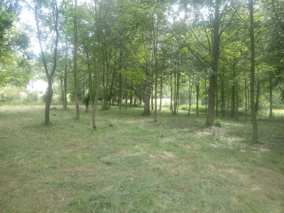 Siedliskowa z możliwością agroturystyki, 5 km od Karpacza