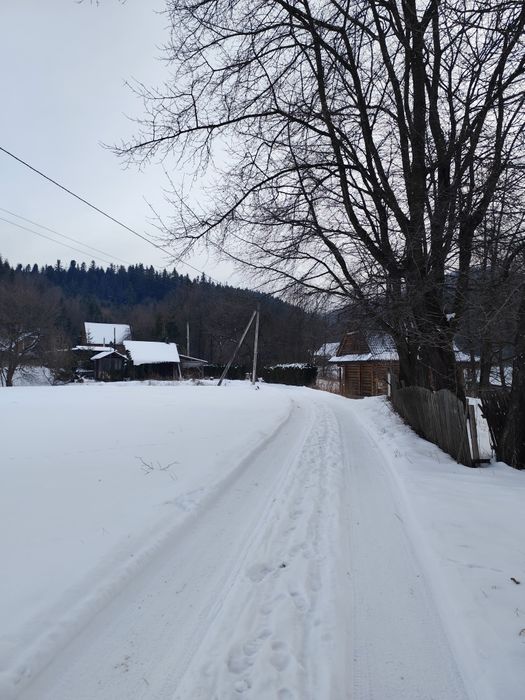 Земельна ділянка в селі Шешори 12 сот. Неподалік ліс та річка