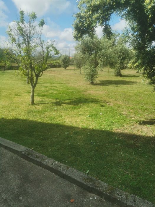 Natureza activa Trabalhos de limpeza e jardinagem