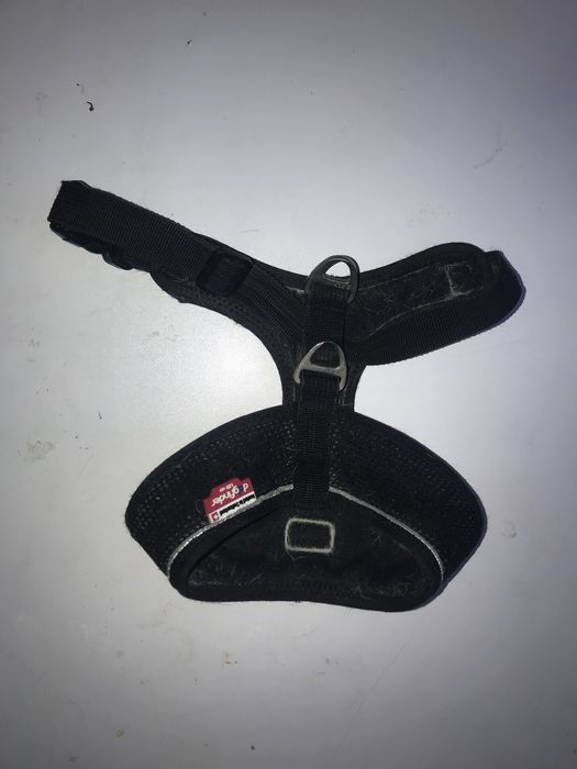 Шлейка для собак Curli розмір с м