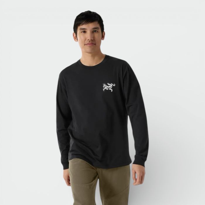 Лонгслів Arcteryx Kragg SL Cotton Bird , X00000953702, M,L