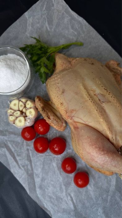 Домашні тушки кролів, курей, курчат