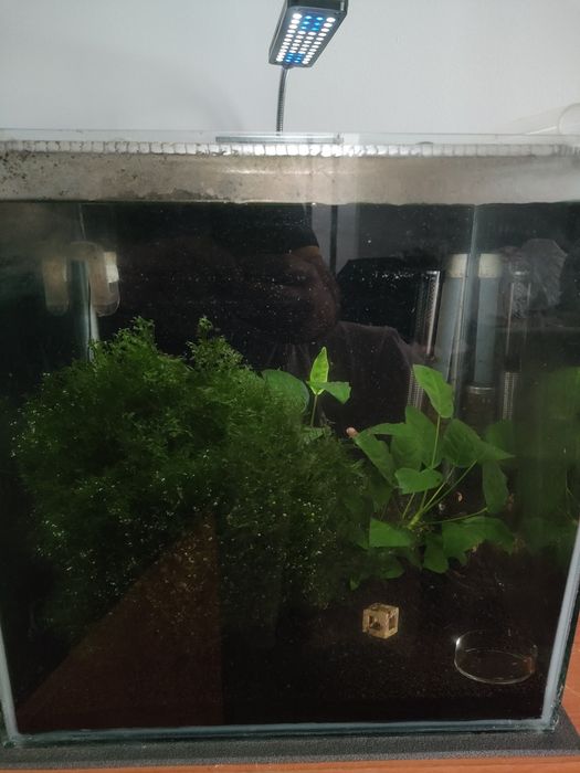 Vendo aquário completo