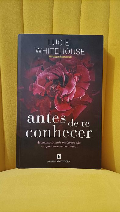 Livro Antes de te Conhecer