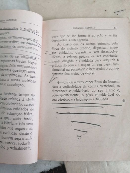 sciencias naturais 4 classe de 1929 - A, figueirinhas , rabiscad lapis