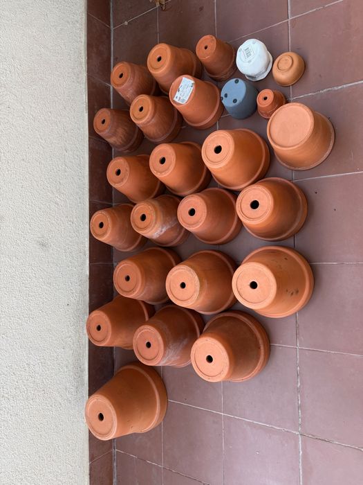 Conjunto de vasos e pratos para plantas em terracotta