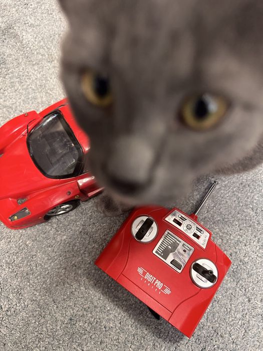 Дитяча машинка Ferrari на пульті