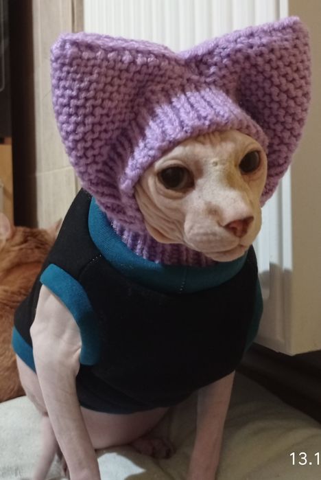 ЗООТОВАРИ кофта, попона, теплий будинок, гребінець, кулька інтерактивн