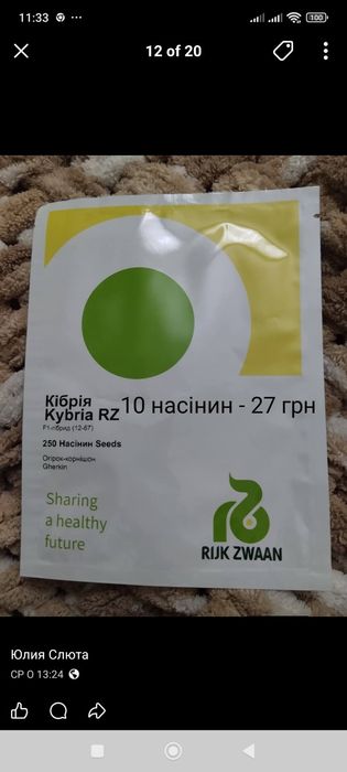 Насіння Нідерланди, голландське