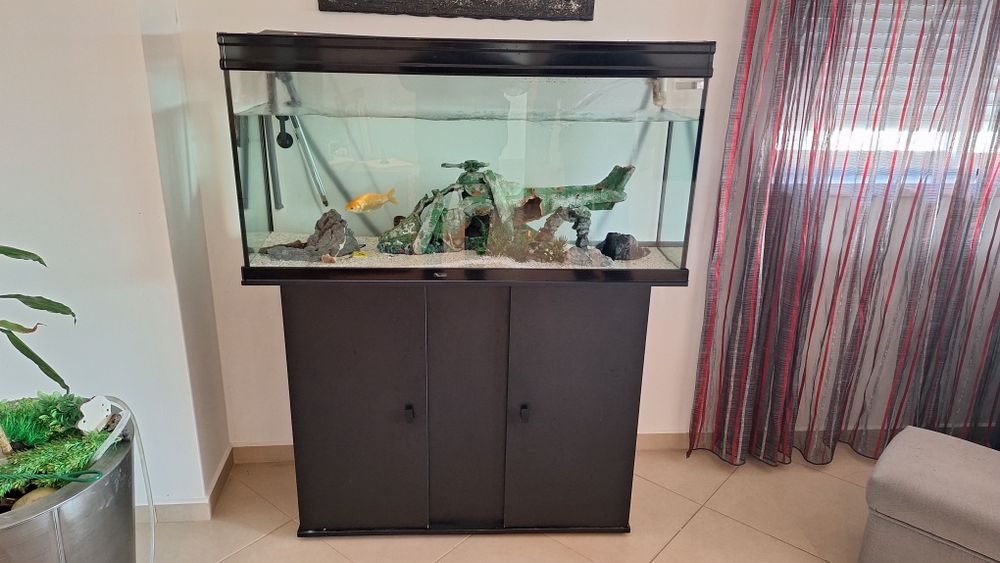 Aquário para tropicais