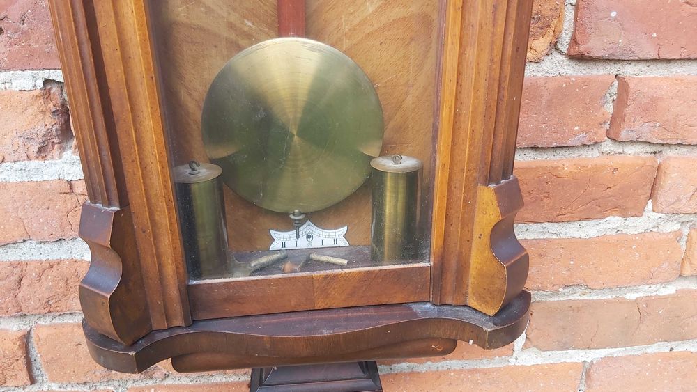 Gustav Becker żyłkowiec