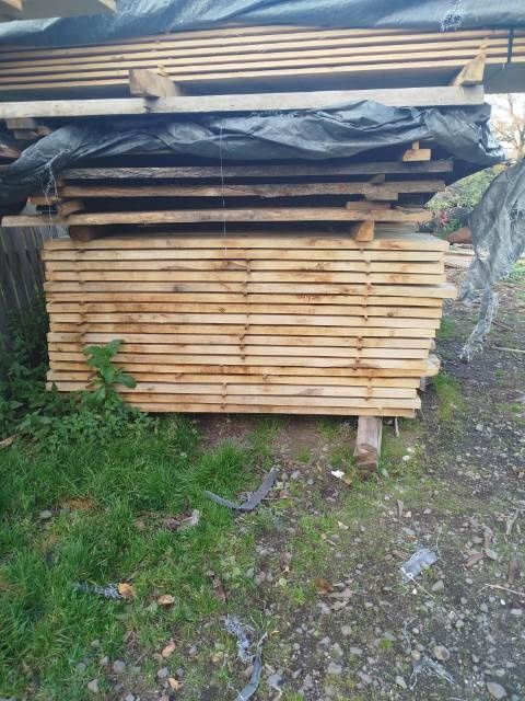 Brusy dębowe i jesionowe