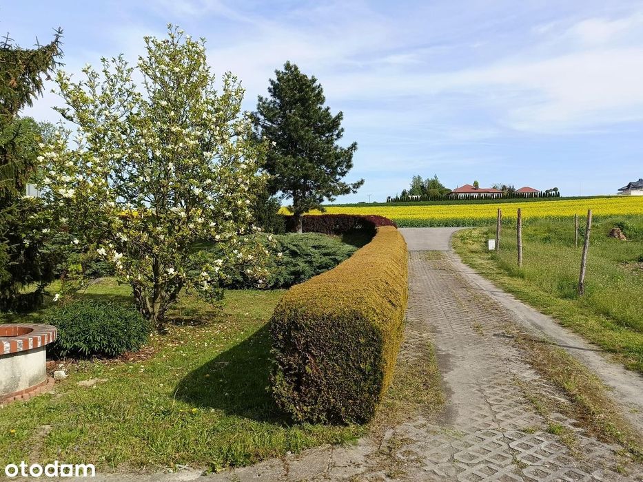 Klimatyczny dom z działką 50 arów – Klementowice