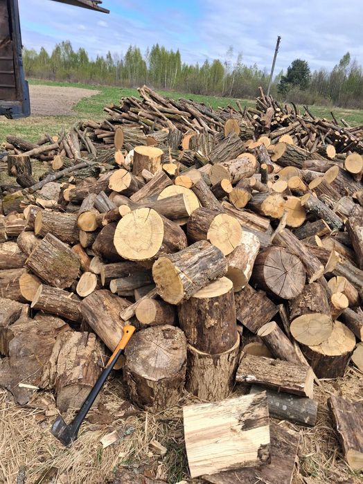 Продам дрова київська область
