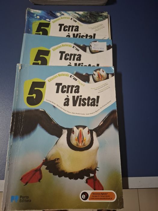 Varios livros escolares do 5a ano