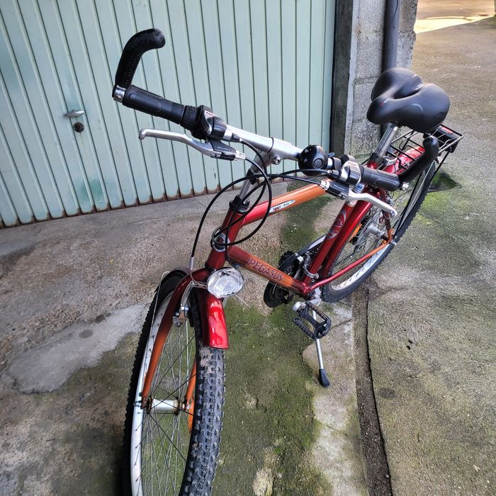 Bicicleta para adultos