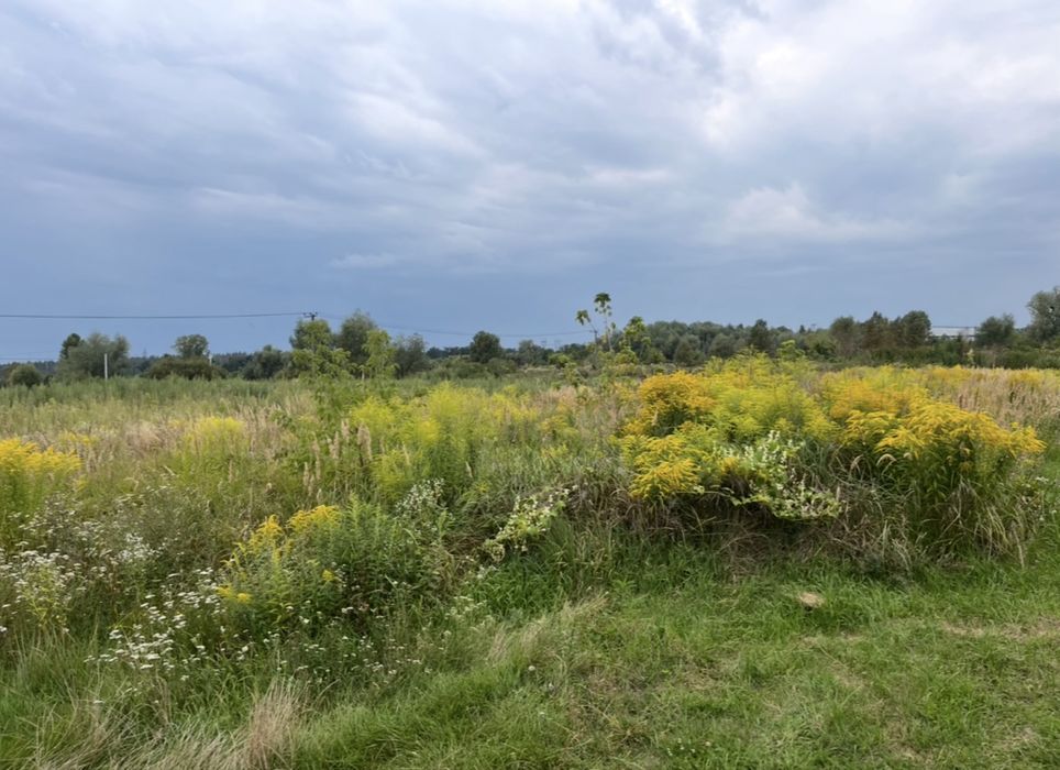 Рівна ділянка в гарній локації