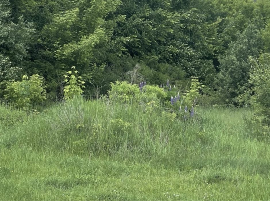 Земельна ділянка!Лісова Буча!41сотка!Р-н Тоскани!Під будівництво!