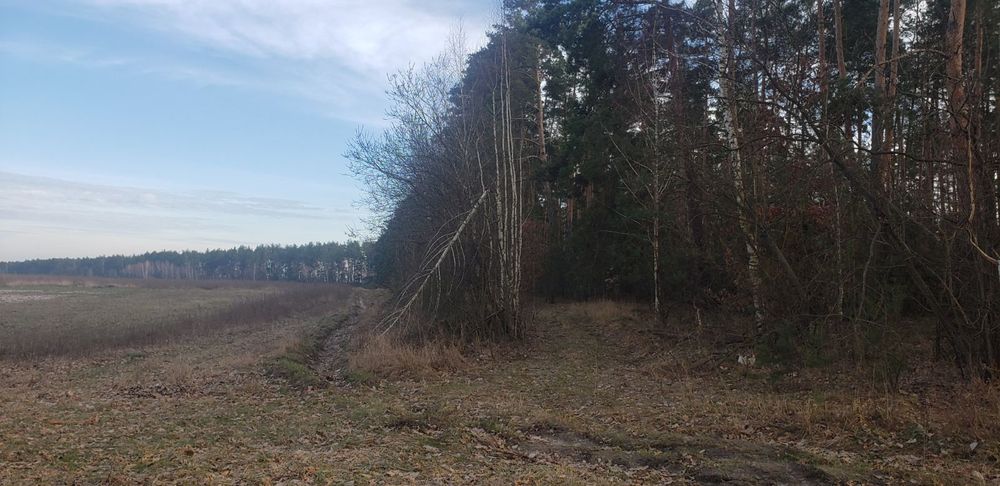 Продажа,обмен 2га с.Марьяновка осг фасад, асфальт