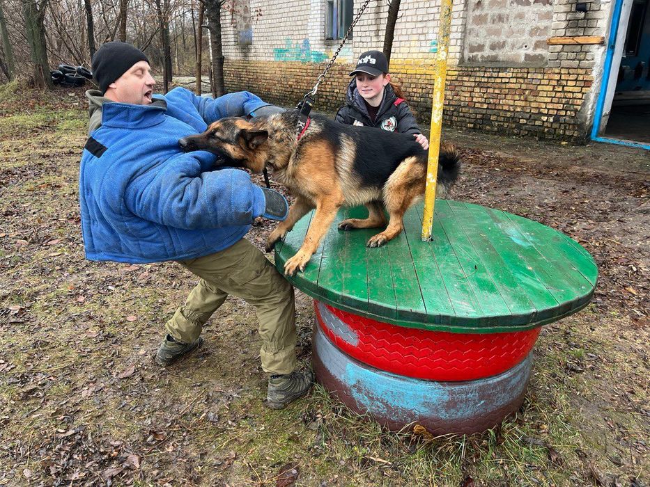 Ефективне Дресирування Собак Усіх Порід, дрессировка собак