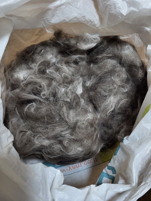 Шерсть кота, підшерсть, кошачья шерсть, подшерсток