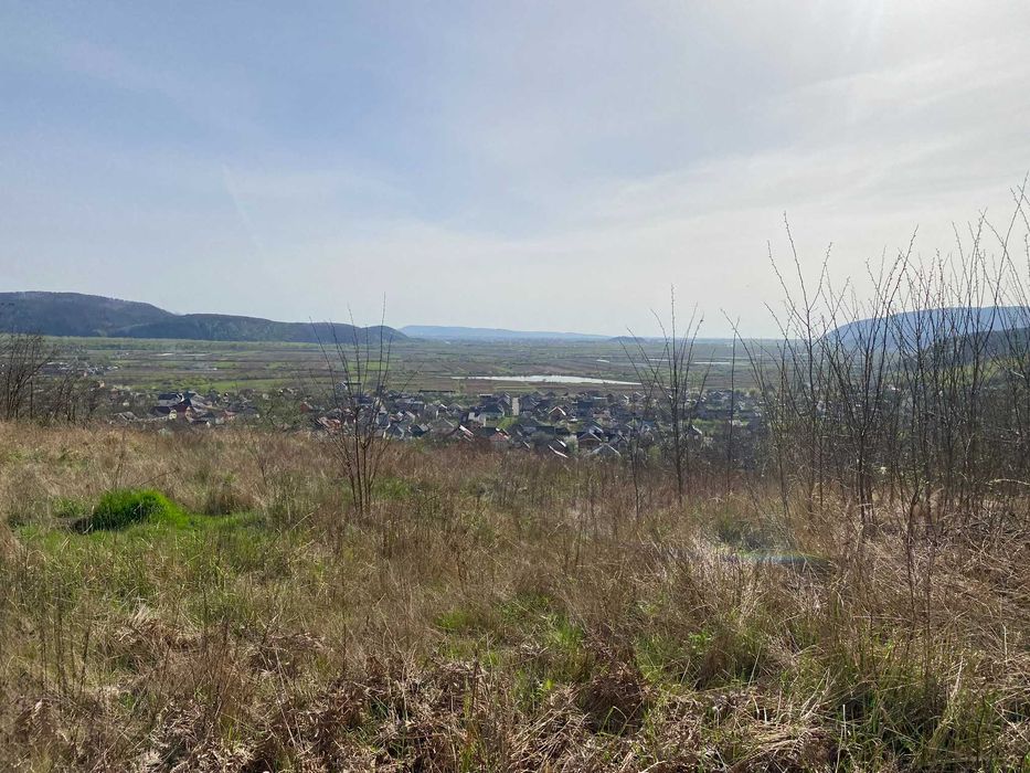 Земельна ділянка