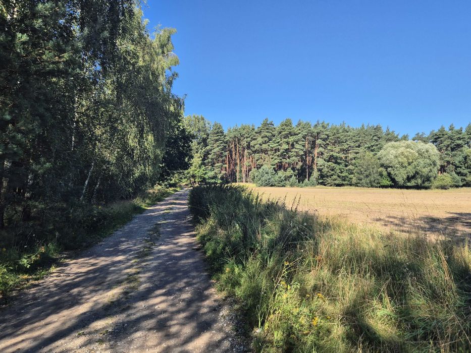 Działka 650 m² z warunkami zabudowy – Jaroszewo Pierwsze - Widok 2