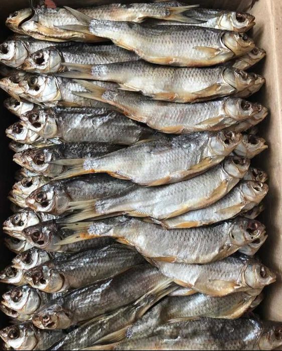 Рибка малосольна вобла з ікрою смачна гарна