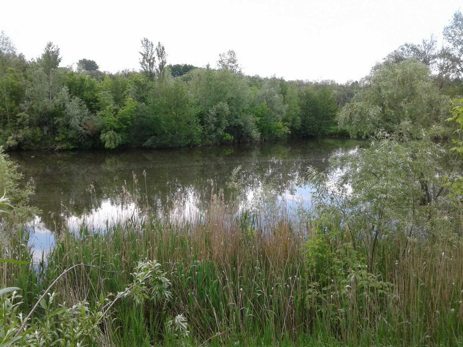 Продаж будинку Макіївка