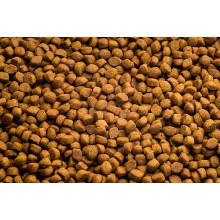 Клуб 4 лапи 14 кг Індор4в1 Urinary, HAIRBALL Стерилізований